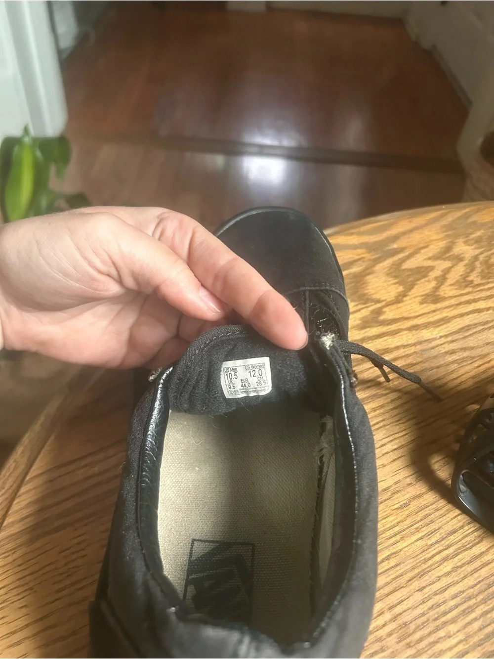 Vans Black Low-Top Canvas Sneakers